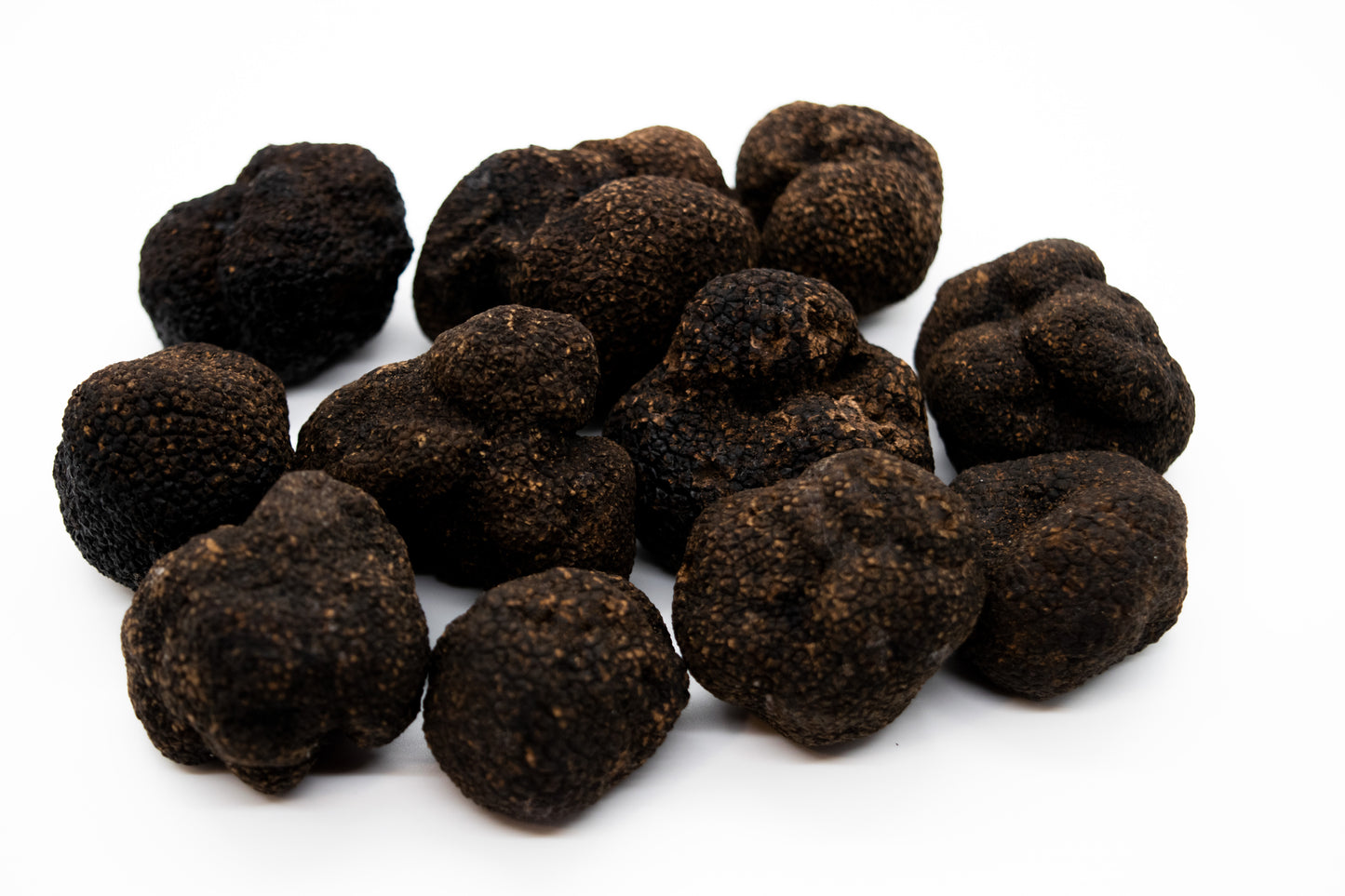 Fresh Winter Black Truffles