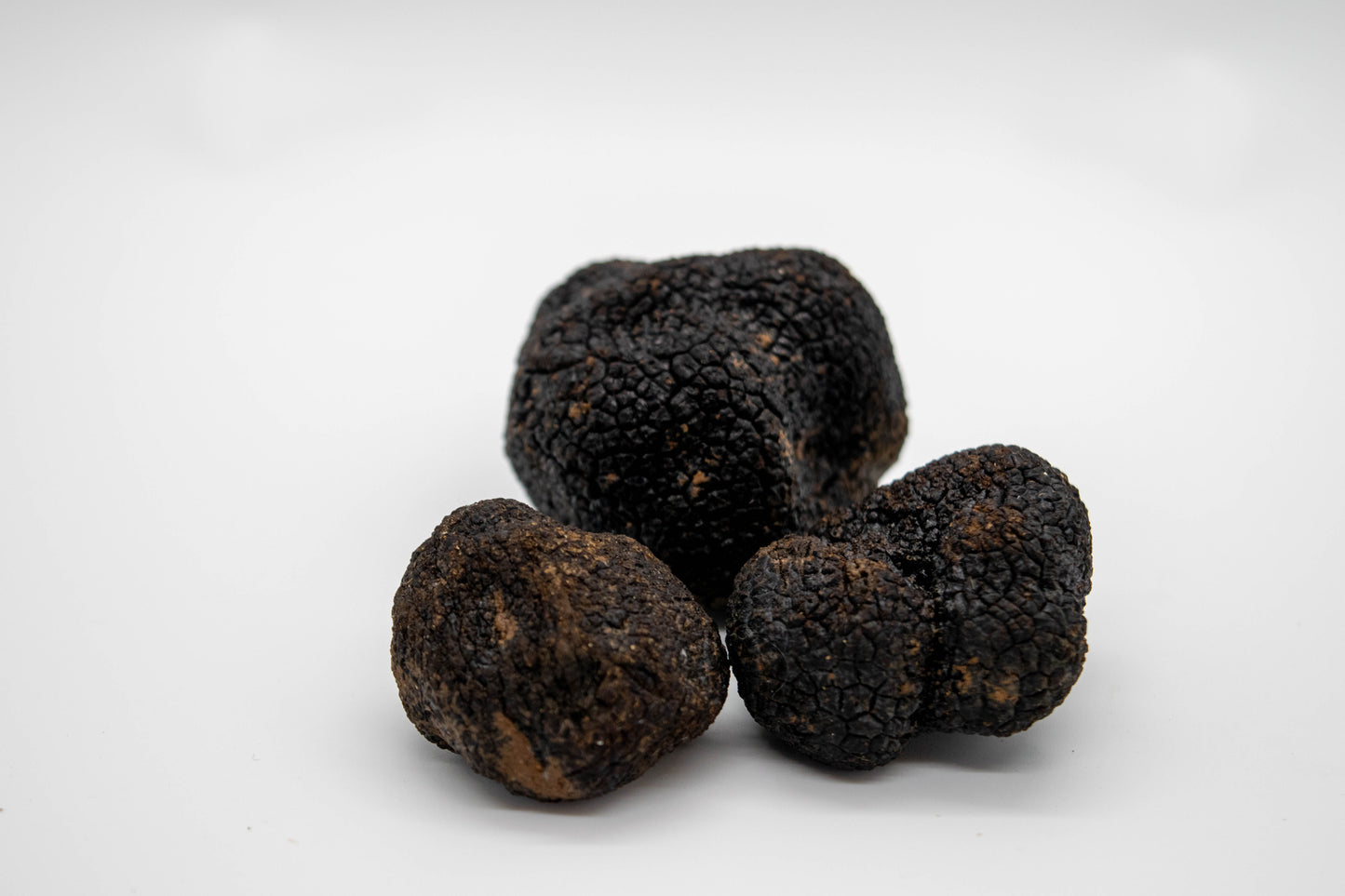 Fresh Winter Black Truffles