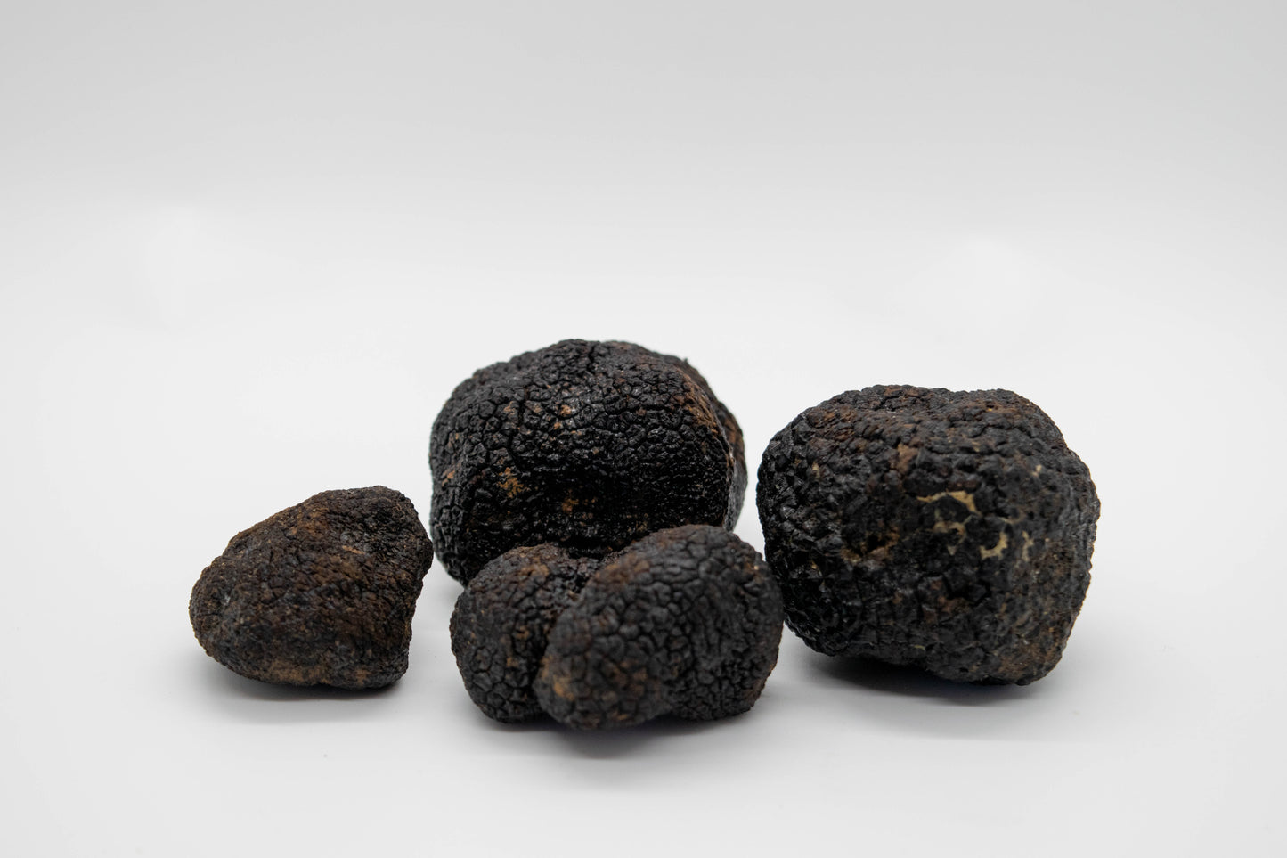 Fresh Winter Black Truffles
