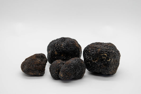 Fresh Winter Black Truffles