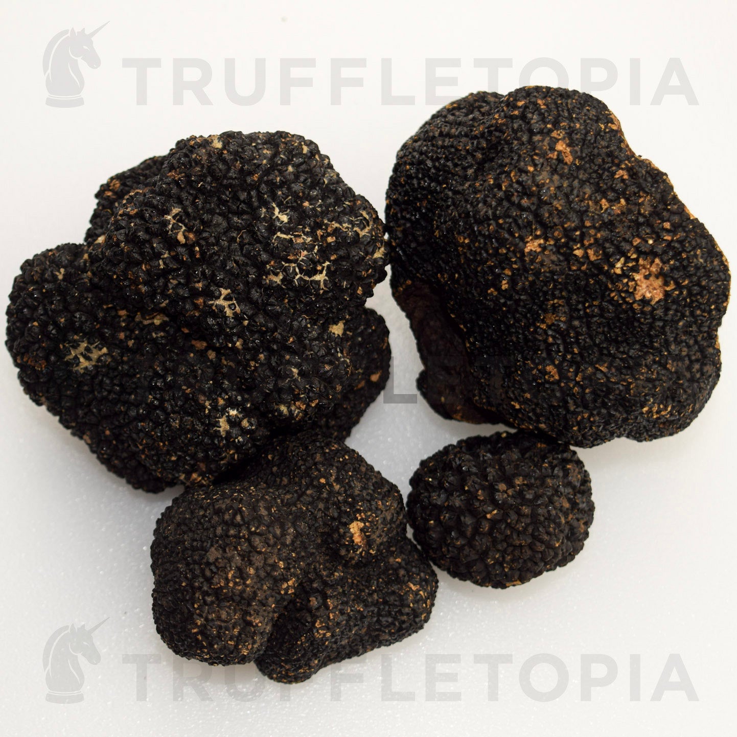 Fresh Summer Black Truffles