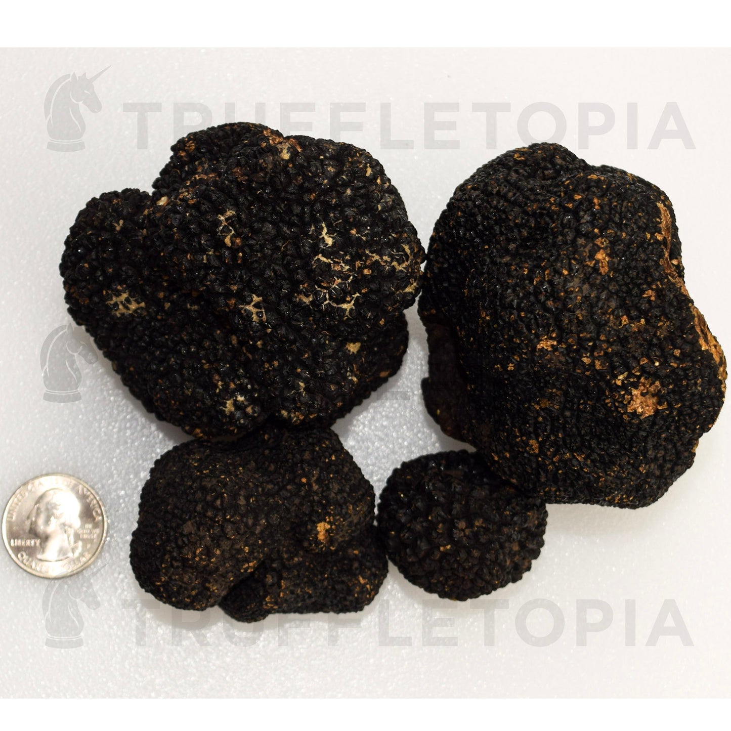 Fresh Summer Black Truffles