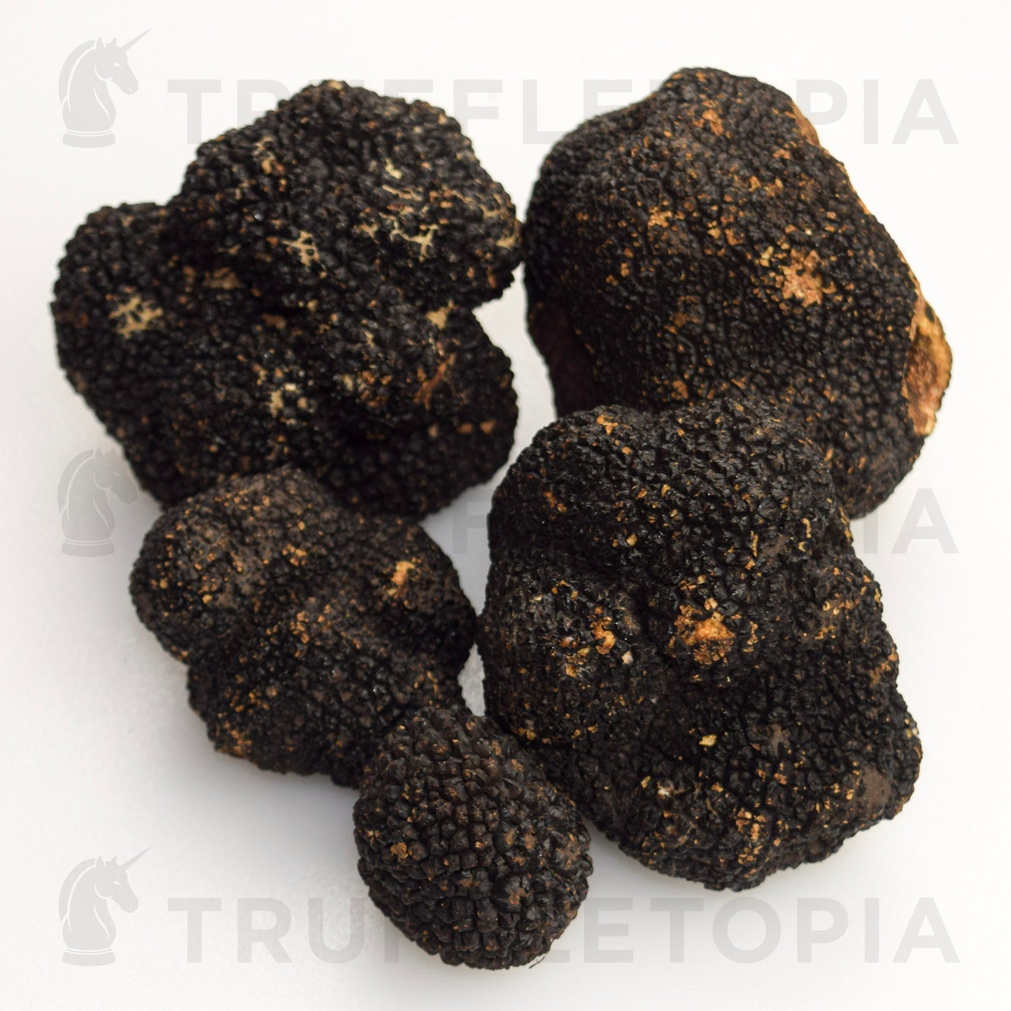 Fresh Summer Black Truffles