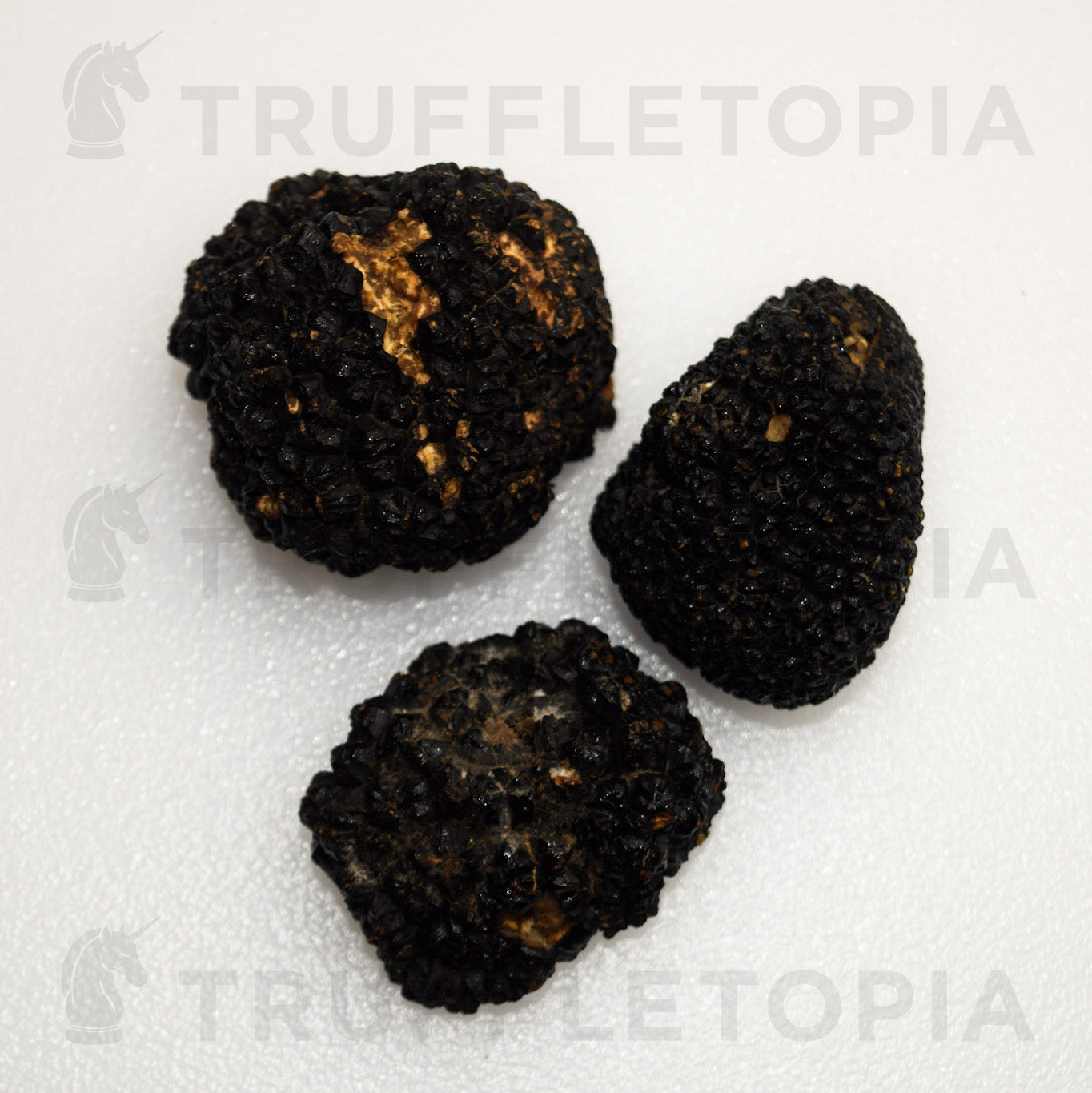 Fresh Summer Black Truffles