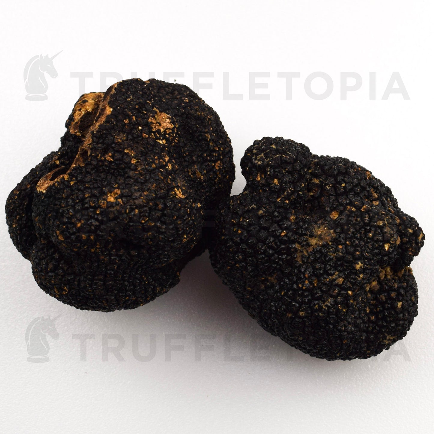 Fresh Summer Black Truffles