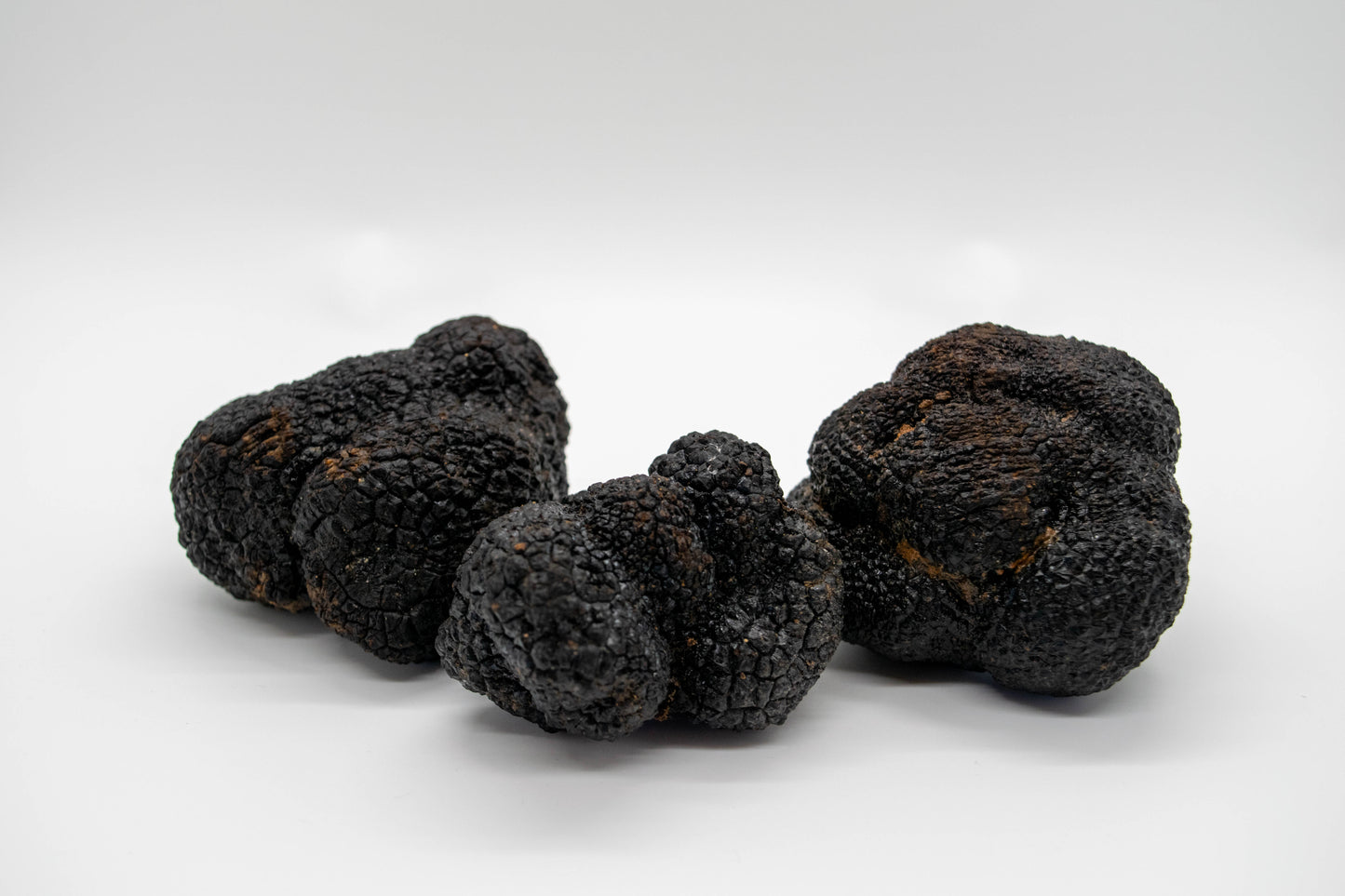 Fresh Winter Black Truffles