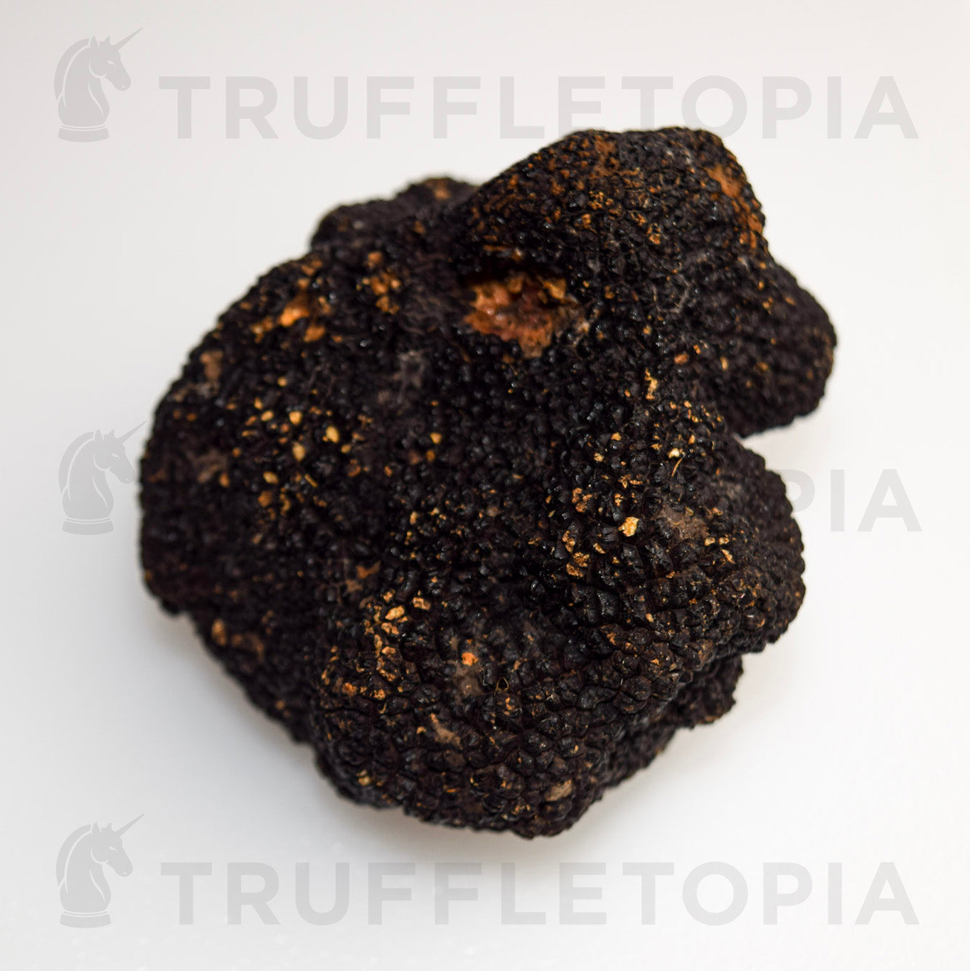 Fresh Summer Black Truffles