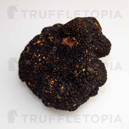 Fresh Summer Black Truffles - Tuber Aestivum